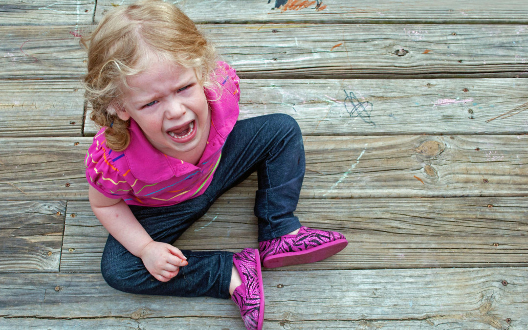 tantrum vs autistic meltdown